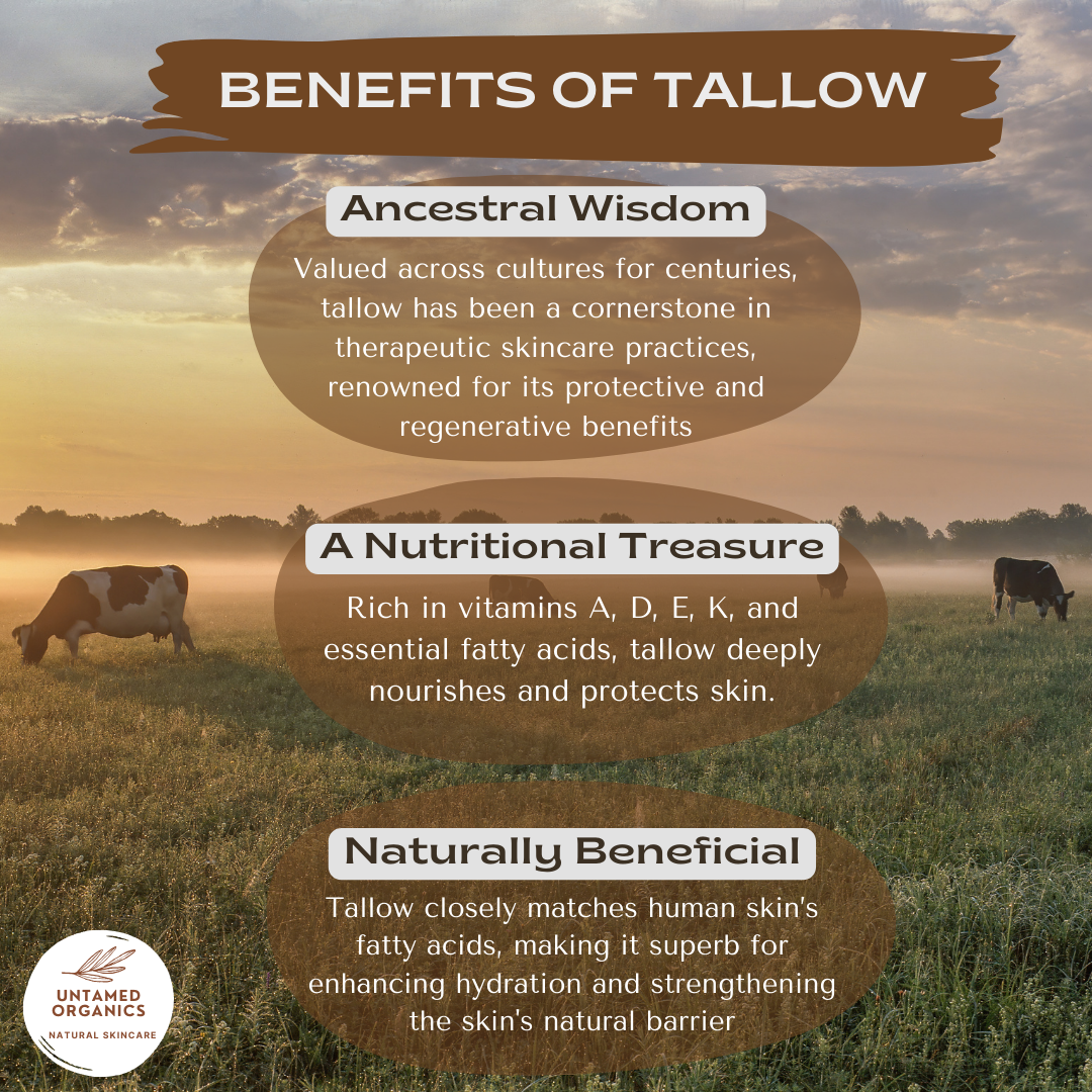 Tallow Lip Balm (4-Pack)
