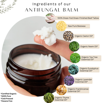 Antifungal Tea Tree Tallow Skin Balm